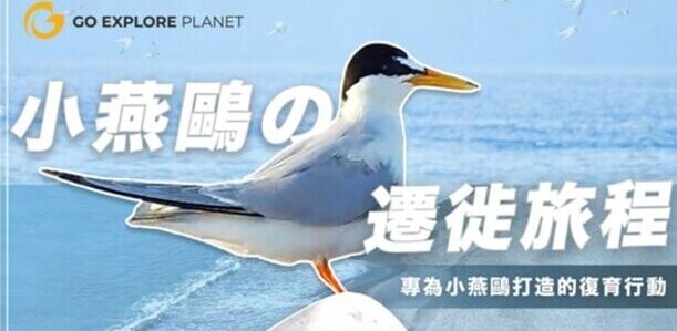 台灣水泥 TCC／小燕鷗復育計畫紀錄片